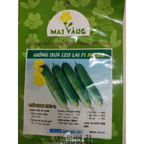 [Gói 1gr] Hạt giống dưa leo, dưa chuột