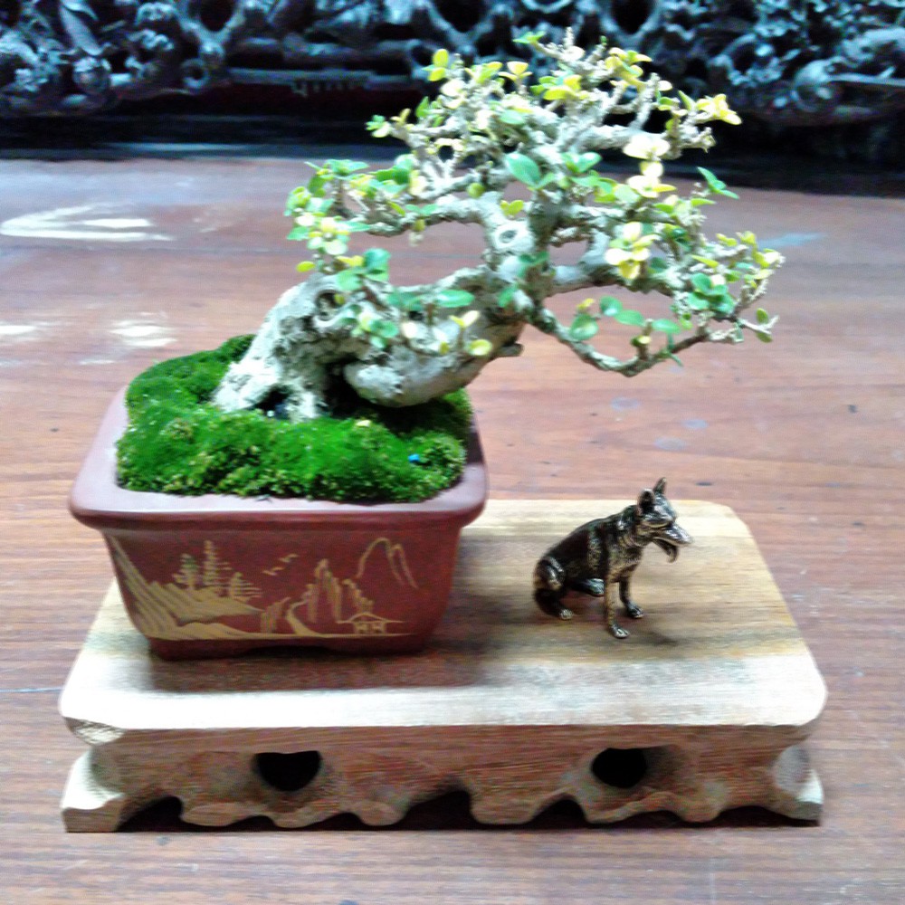 Tượng chó mini bằng đồng giá rẻ làm phụ kiện tiểu cảnh, phụ kiện bàn trà, trang trí bonsai, làm quà tặng