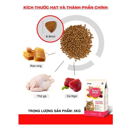 Hạt mèo TODAY'S DINNER Thức ăn cho mèo mọi lứa tuổi 1kg Petemo Pet Shop