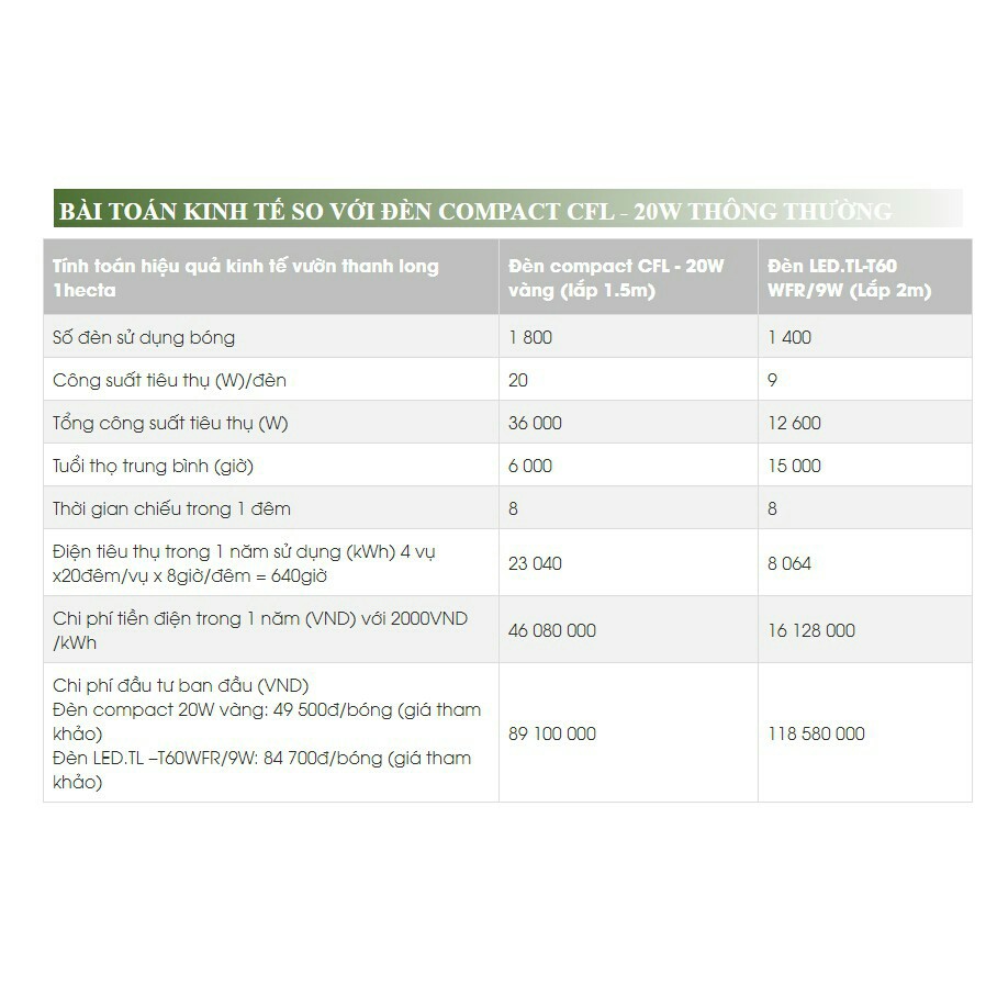 Bóng đèn xông thanh long 9w Rạng đông