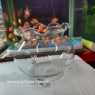 Bình cá bèo có chân nuôi cá-- quyến rũ đến từng chi tiết