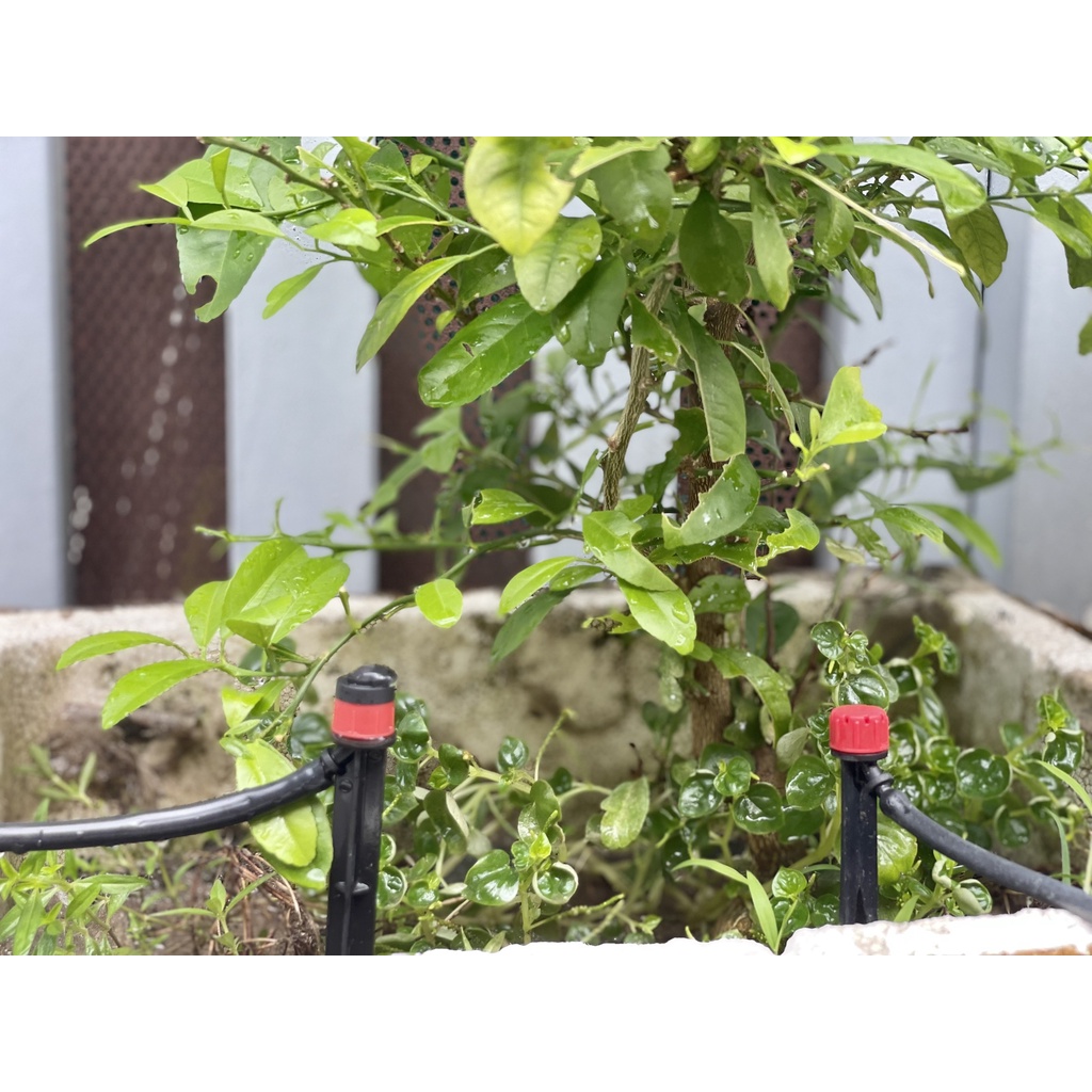 Béc tưới gốc xòe 360 độ có que cắm chiều dài que cắm 18cm loại 1
