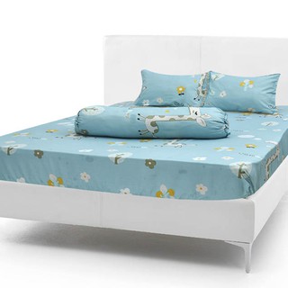 Bộ ga gối poly cotton rẻ đẹp