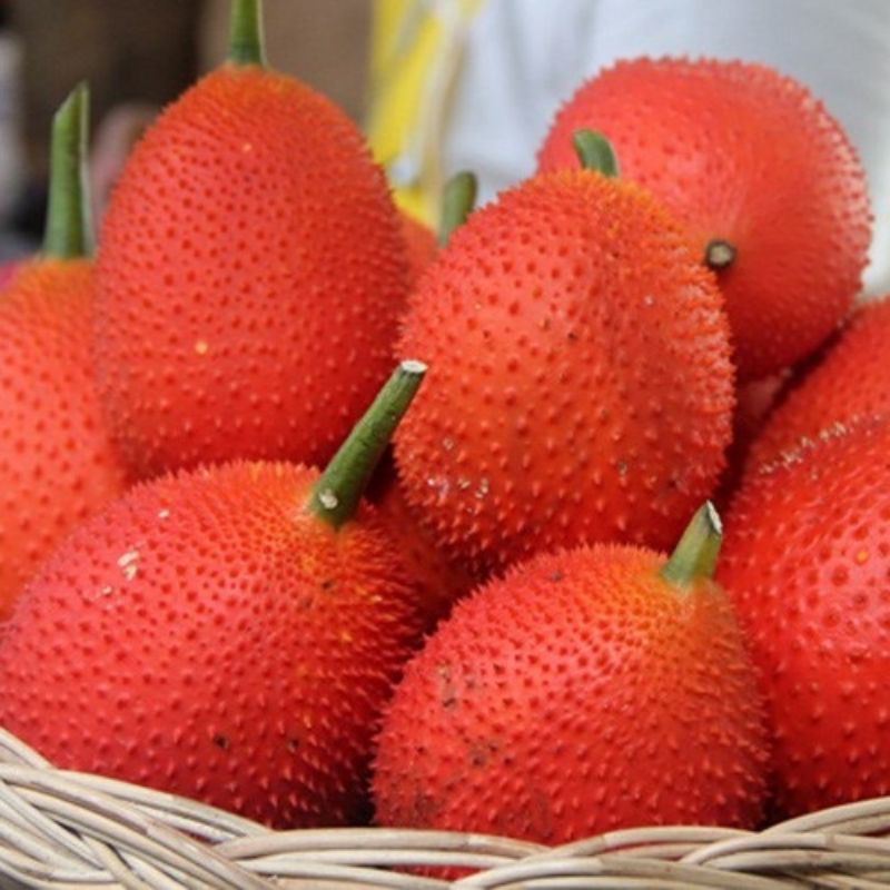 100g màng gấc sấy khô