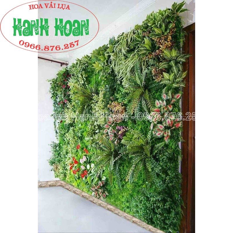 Cây lan chi rủ  - cây hoa giả