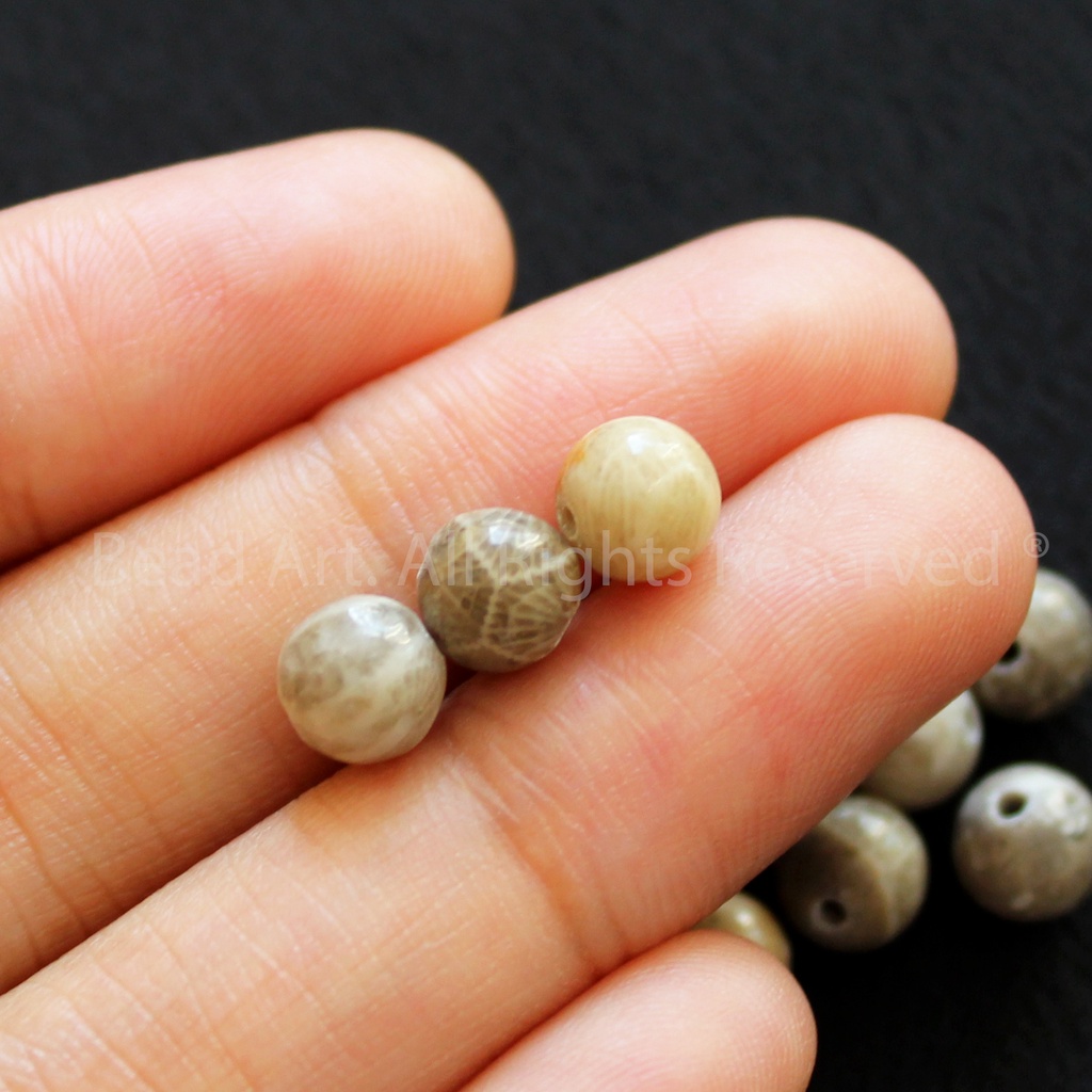 6MM San Hô Hoá Thạch  Loại A, Tông Màu Xám Vàng, Phối Vòng Tay Phong Thuỷ, Chuỗi Hạt S50 - Bead Ar
