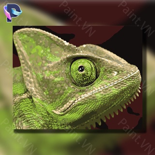 Tranh Sơn Dầu Trang Trí Hình Tắc Kè Hoa (24 Màu) Va-0494 (Tự Sơn)