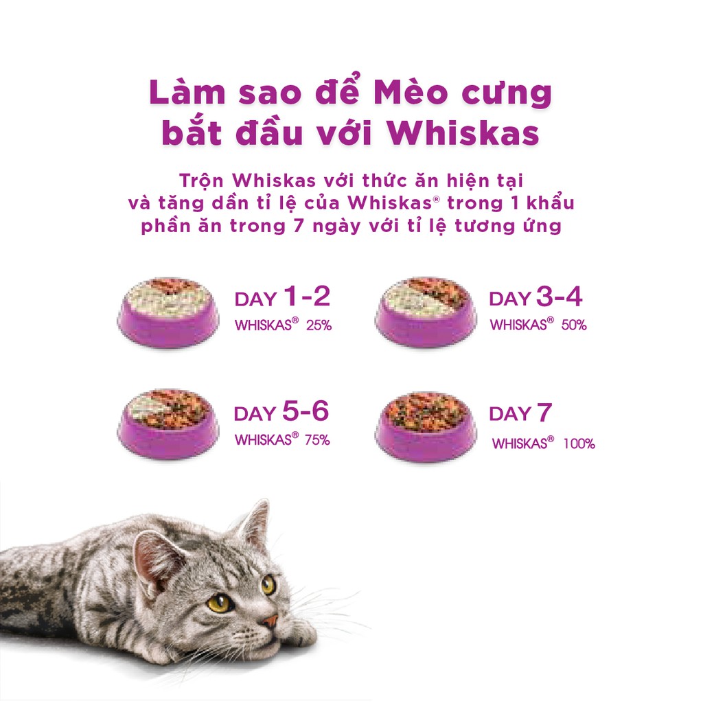 Bộ thức ăn dạng hạt dành cho mèo lớn Whiskas vị cá thu 1.2kg + 6 túi pate cho mèo lớn Whiskas vị cá thu 85g/túi