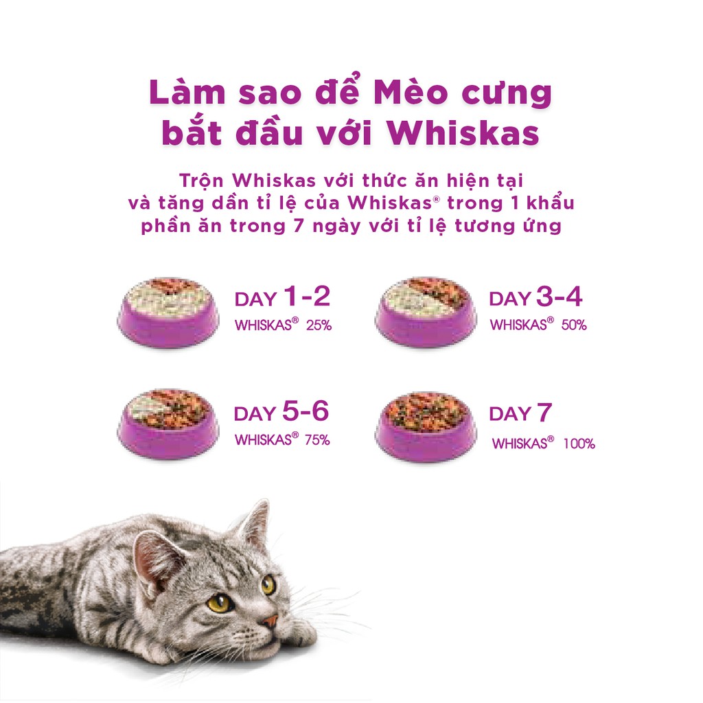 Bộ thức ăn dạng hạt dành cho mèo con Whiskas vị cá biển 1.1kg + 6 túi pate cho mèo con Whiskas vị cá thu 85g/túi