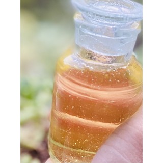TINH DẦU HẠT MÙI GIÀ SOAPILY