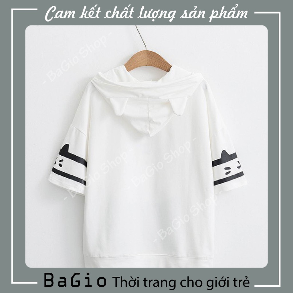 Áo phông hoodie cotton - áo thun unisex tay ngắn mùa hè in hình mèo cún