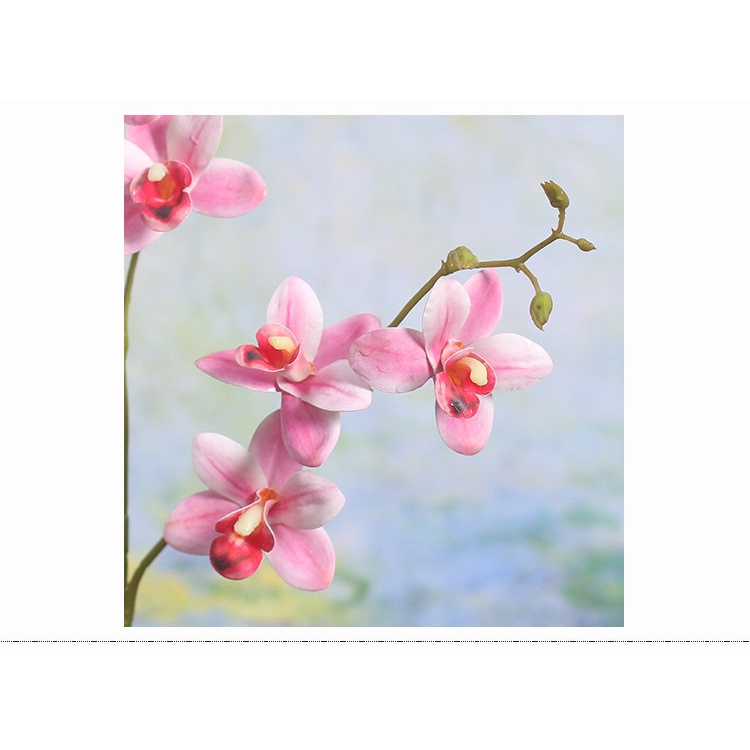 HOA GIẢ 🌺HOA LAN THÁI CAO SU