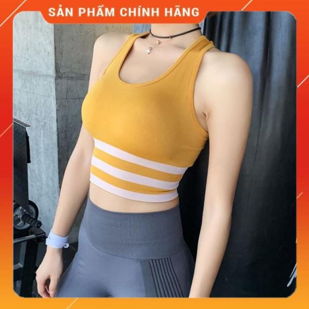 Áo bra, croptop Hàn siêu co giãn, thời trang Hàn 999