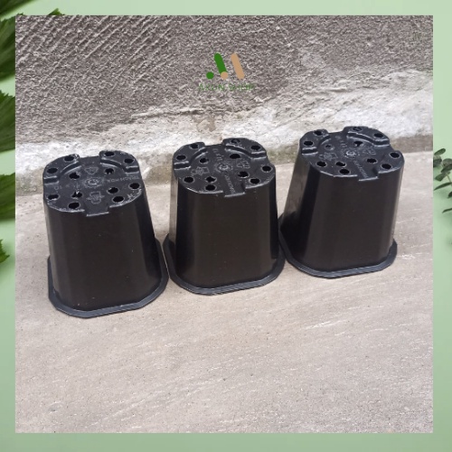 Chậu nhựa đen mini cứng trồng sen đá xương rồng cây cảnh trong nhà size 11x10 tiện lợi giá tại xưởng