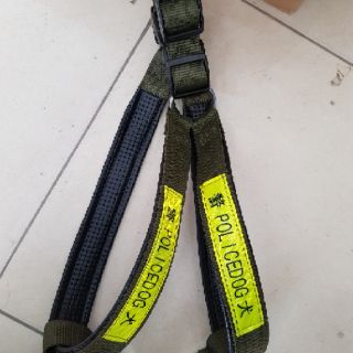 Dây dắt chó mèo size đại cho chó to
