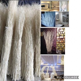 giá rẻ Cây khô nhánh cây khô trang trí nhánh cây trắng nhập khẩu