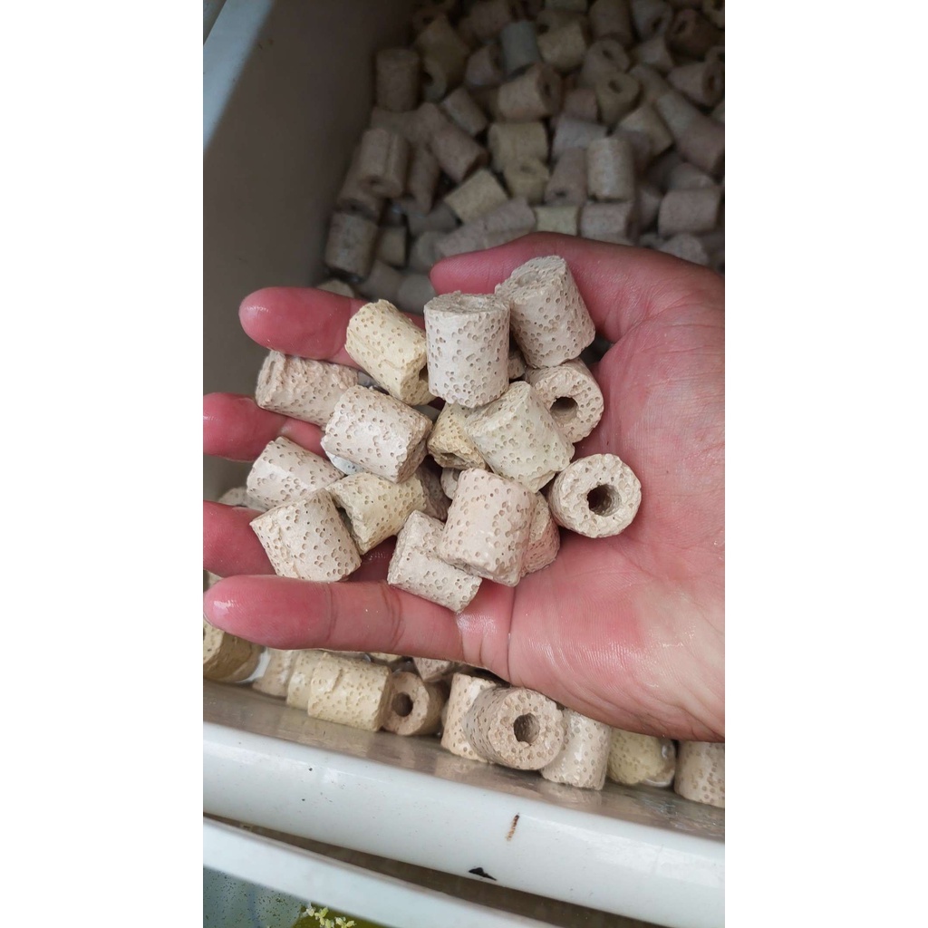 Vật liệu lọc cho hồ cá, Vật liệu lọc sứ viên