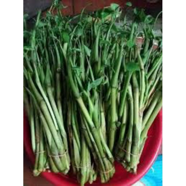 Ngồng Khoai  Nấu Canh Bó 1KG