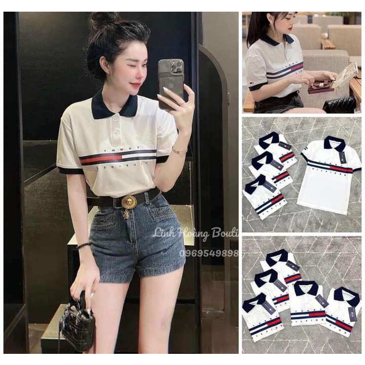 ÁO PHÔNG NỮ POLO TOMY  PHỐI CỔ bo tay phom 40-60kg mang vừa