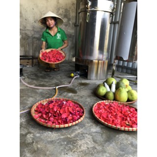 TINH DẦU BƯỞI
