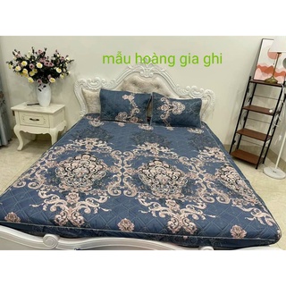 Ga và 2 vỏ gối Trần Bông 1m6/1m8/2m2