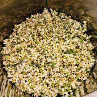 NƯỚC CẤT HOA BƯỞI POMELY 100ml