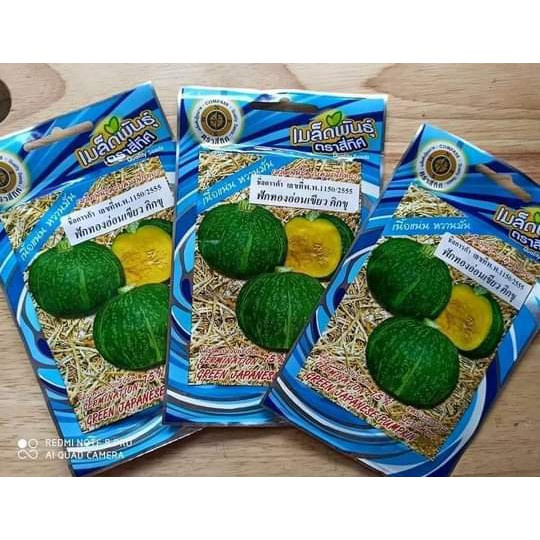 Hạt giống Bí ngô nhật Thái lan 5gr ~ 50 hạt nhập nguyên gói