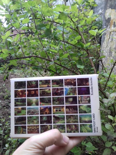 Postcard Vô Diện - Arietty - Nyanko