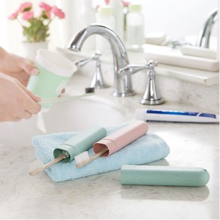 Hộp Đựng Bàn Chải Đánh Răng Lúa Mạch Cao Cấp