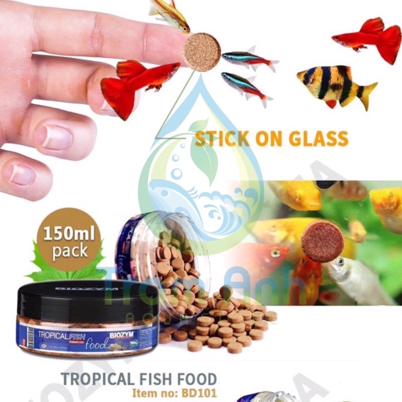 Thức ăn dán kính Biozym cho cá cảnh