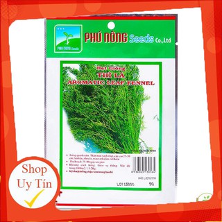 - hạt giống thì là phú nông chất lượng.