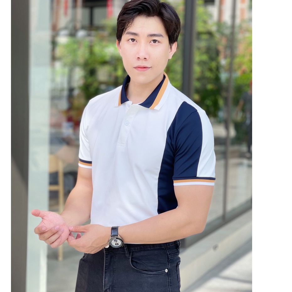 Áo polo nam cổ bẻ phối màu chất vải cá sấu Cotton xuất xịn,chuẩn form, sang trọng - thanh lịch TB01