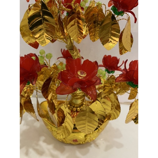 Lá Ngọc Cành Vàng cao 35cm