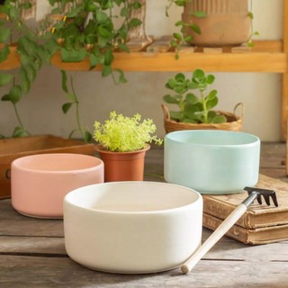 Chậu sứ Bát Tràng Hình Trụ Thấp trồng cây Để Bàn, Cây Nội Thất, Sen Đá, Xương rồng, Cây Bon sai