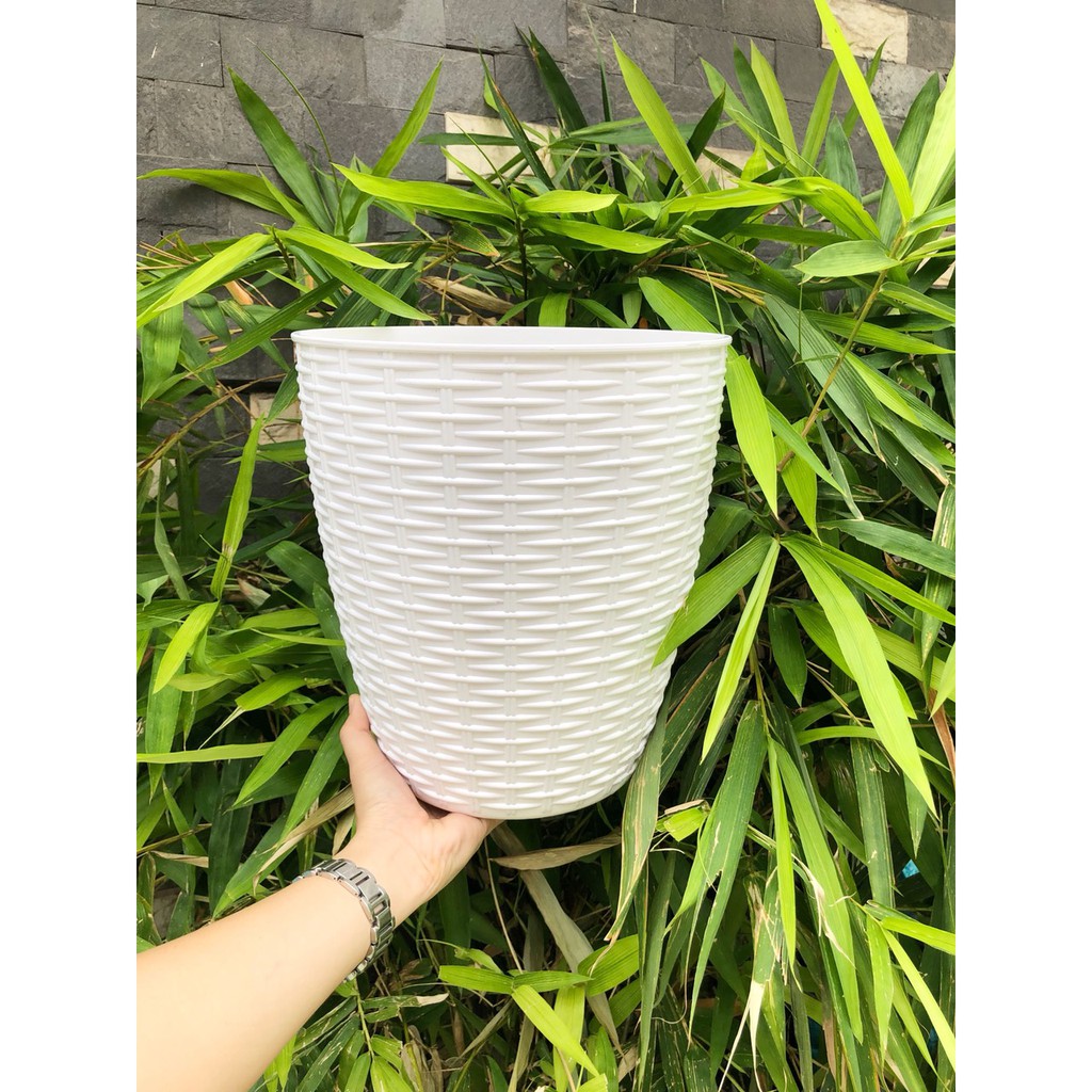 Chậu nhựa mây đan tròn