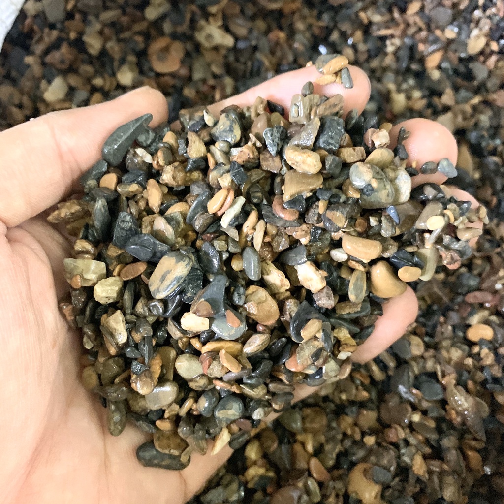 500gram Sỏi Suối (Sạn Suối) Thiên Nhiên Trải Nền Hồ Cá, Bể BioTop