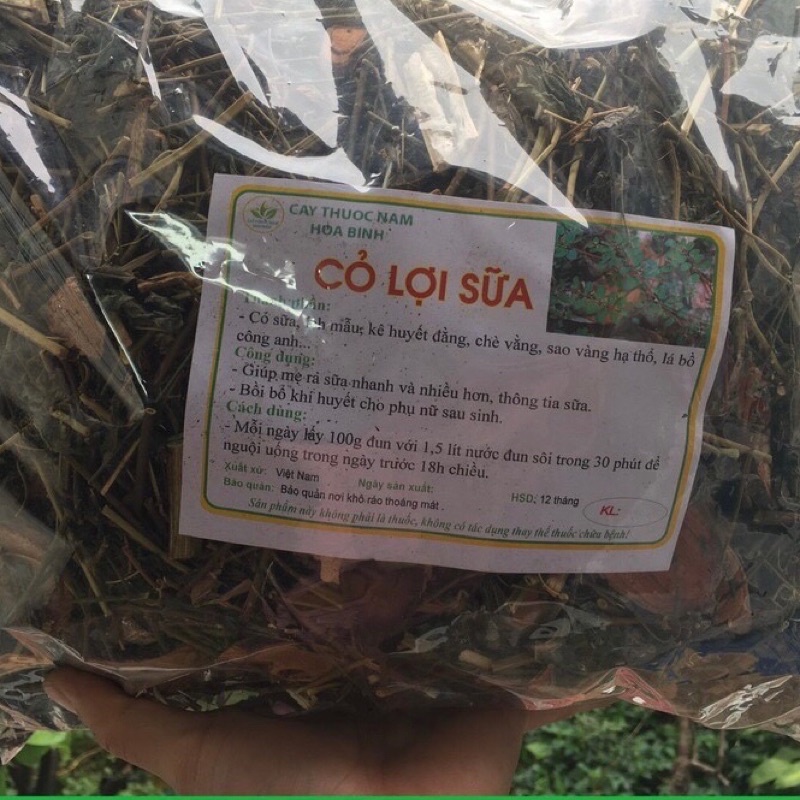 1kg Cây cỏ sữa lá lớn