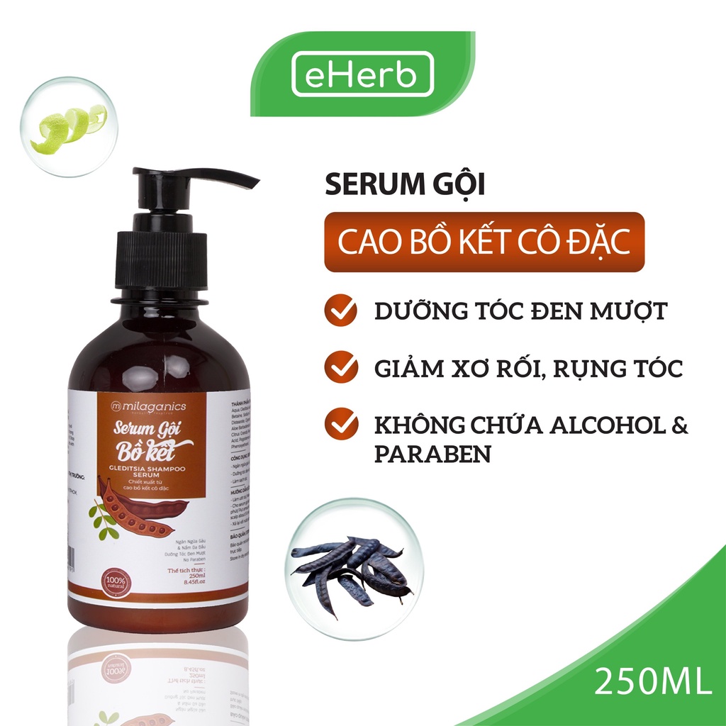 Dầu Gội Thảo Dược Bồ Kết Cô Đặc Làm Đen Tóc, Nấm Ngứa, Ngừa Rụng Tóc MILAGANICS 250ml (Chai)