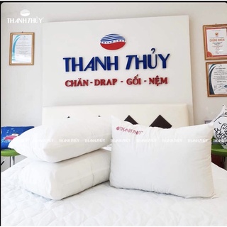Ruột gối nằm Thanh Thủy , chery ( chính hãng ) size 40*60cm - 50*70cm