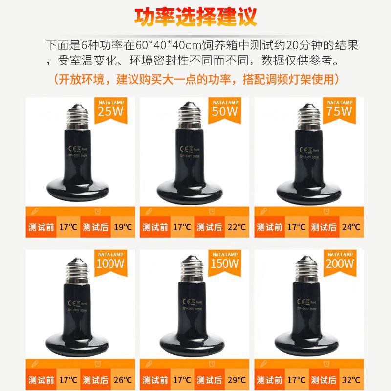 Đèn Sưởi Ấm Cho Thú Cưng Bò Sát