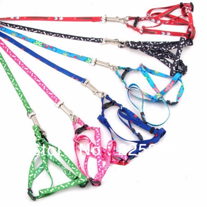 Dây dắt chó mèo đi dạo HDPET giá rẻ giao màu ngẫu nhiên