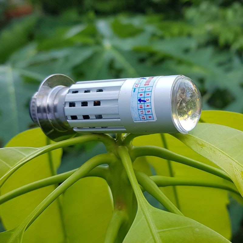 Đèn Pha Led Bi Cầu 2 Chân M5 cho Dream, Wave Đời Cũ (2 Màu)