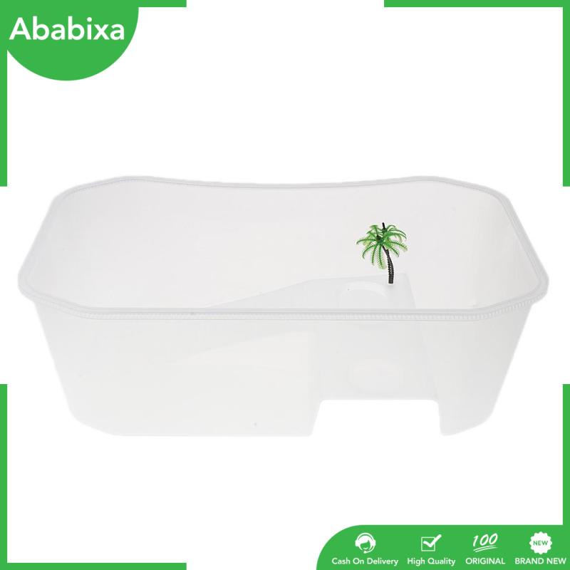 Hộp nuôi động vật lưỡng cư có cây dừa bằng nhựa cho rùa nước ngọt/đồi mồi/tắc kè/nhện/ếch