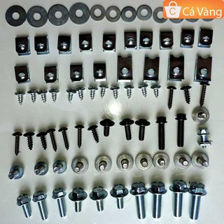 Ốc bắt bộ nhựa xe Anpha, RS