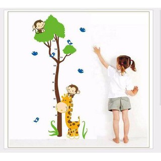 Decal dán tường đo chiều cao khỉ