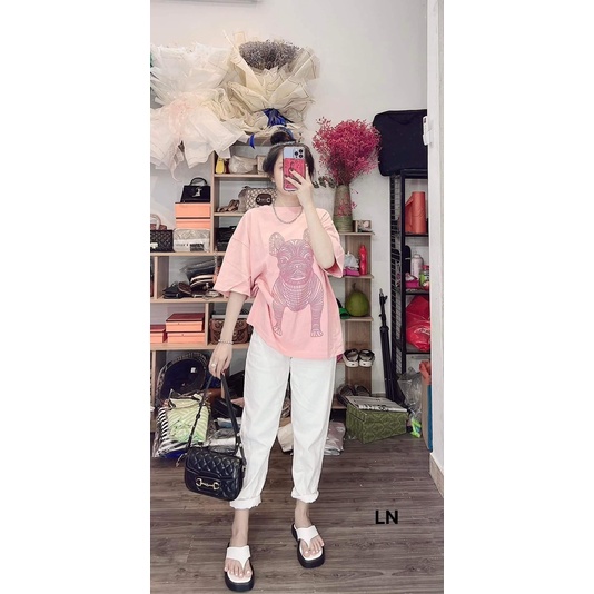 Sét áo cún 3D +quần kaki xuông trắng LN11