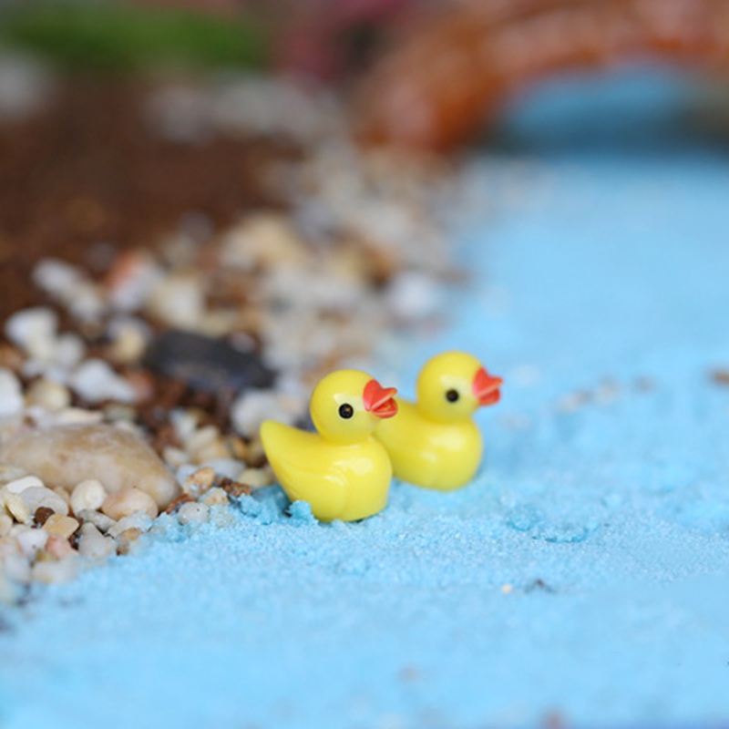 Set 10 chú vịt vàng mini dành cho trang trí sân vườn
