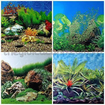 Tranh dán hồ cá, trang trí bể cá cao 40cm