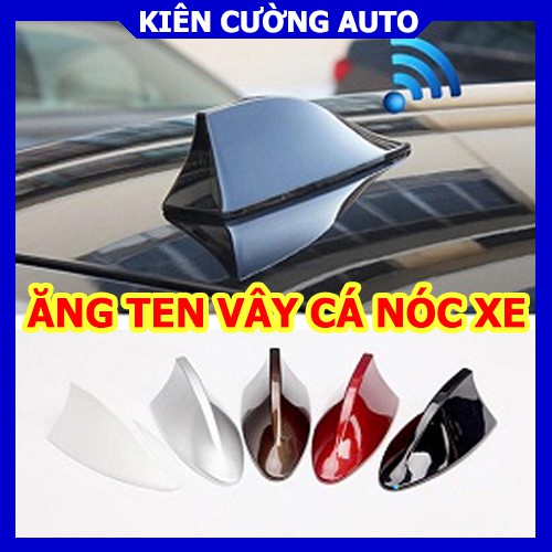 Ăng ten vây cá mập Hybrid đế cao su Thu sóng Radio AM / FM