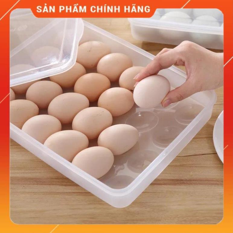 Khay Trứng 24 Ô Có Nắp Đậy Nhựa Việt Nhật
